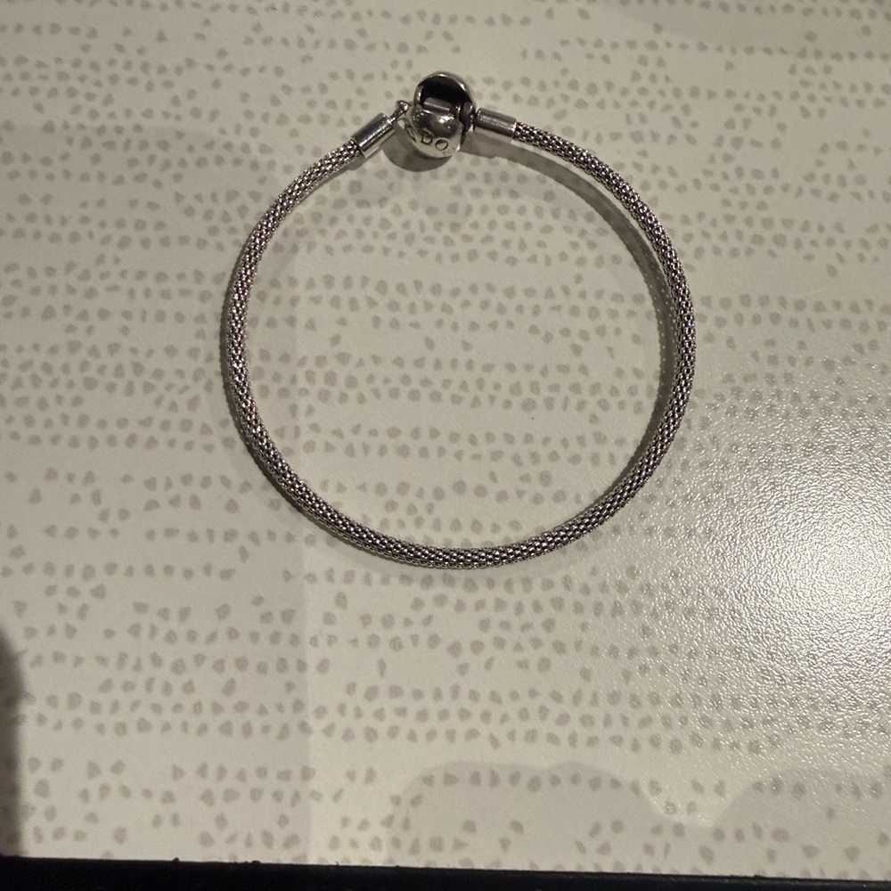 Pandora Silver Mesh Bracelet